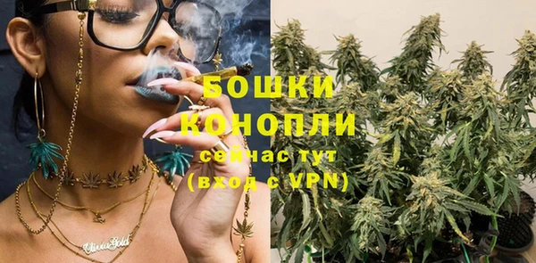 индика Мегион